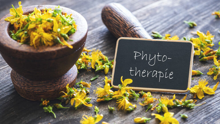Heilpraktiker betätigen sich auch in der Phytotherapie hier stilisiert durch gelbe Blumen und eine Schultafel mit der Aufschrift Phytotherapie